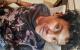 View Gay Profile Picture